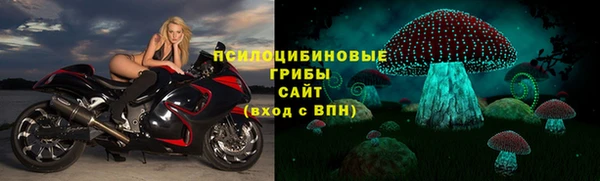 трава Нефтекумск