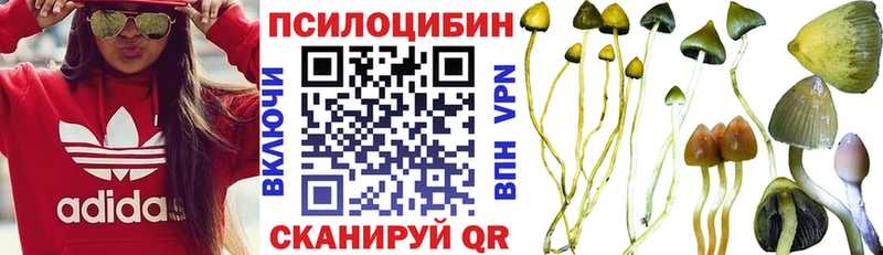 Купить где  Зуевка  Псилоцибиновые грибы ЛСД 