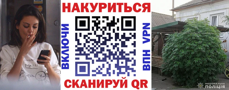 Купить где Зуевка Шишки марихуана THC 21%